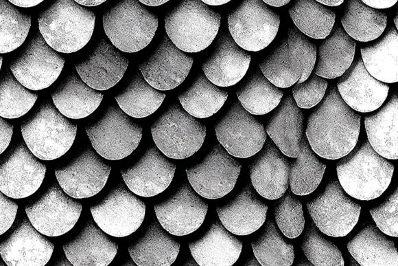 Evaluating the Concrete Fish Scale Tile Texture Background for Design Projects